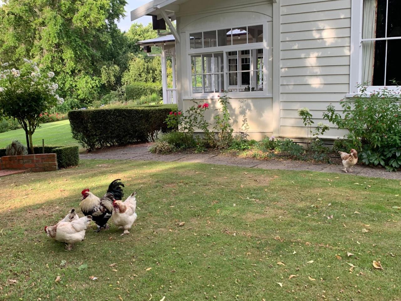 Wallingford Homestead Dış mekan fotoğraf