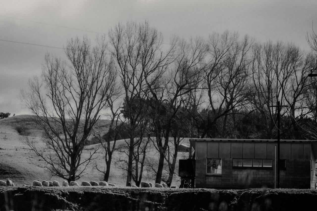 Wallingford Homestead Dış mekan fotoğraf