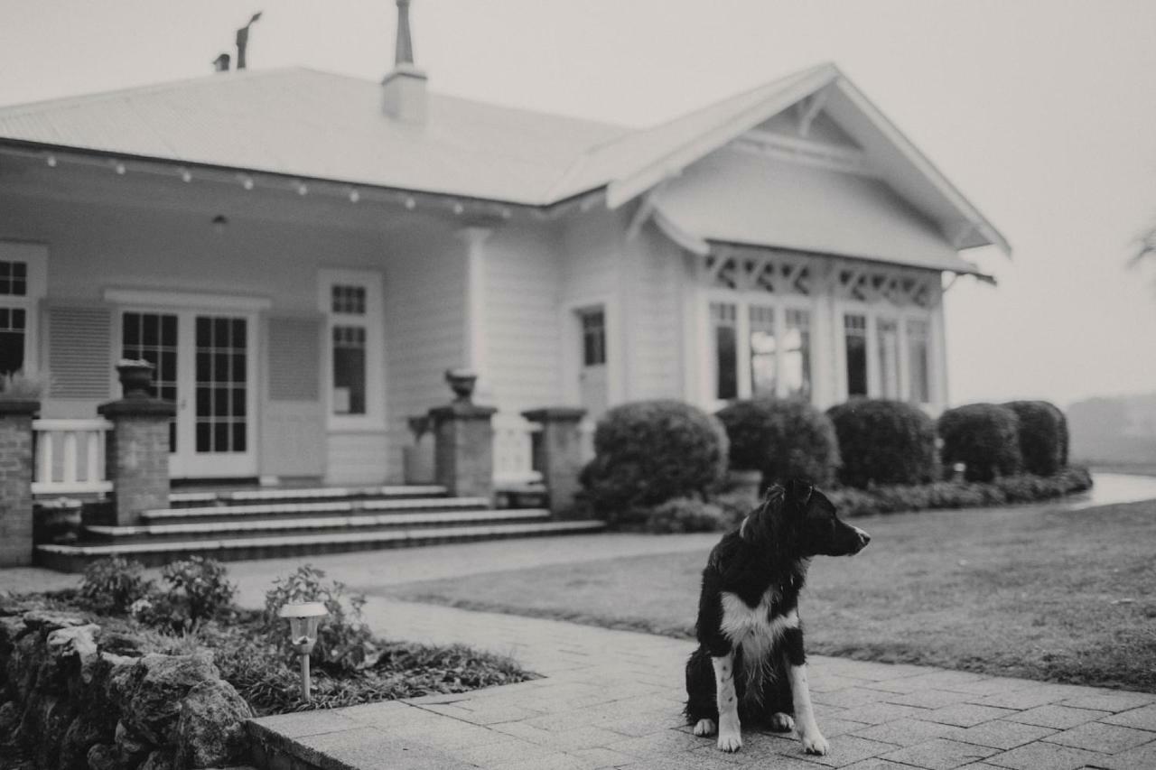 Wallingford Homestead Dış mekan fotoğraf